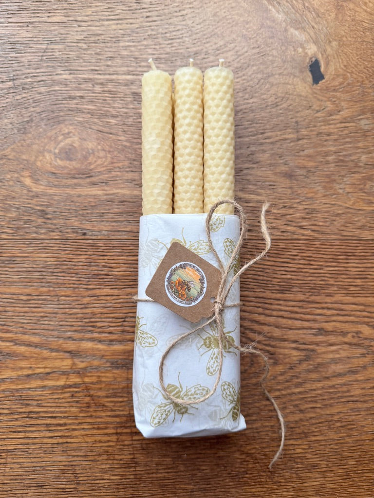 Golden Glow Hand-Rolled Beeswax Candles – Box of 6
