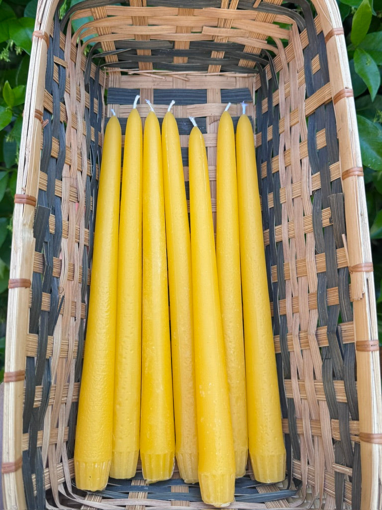 100% Pure California Beeswax Taper Candles - Set of 6