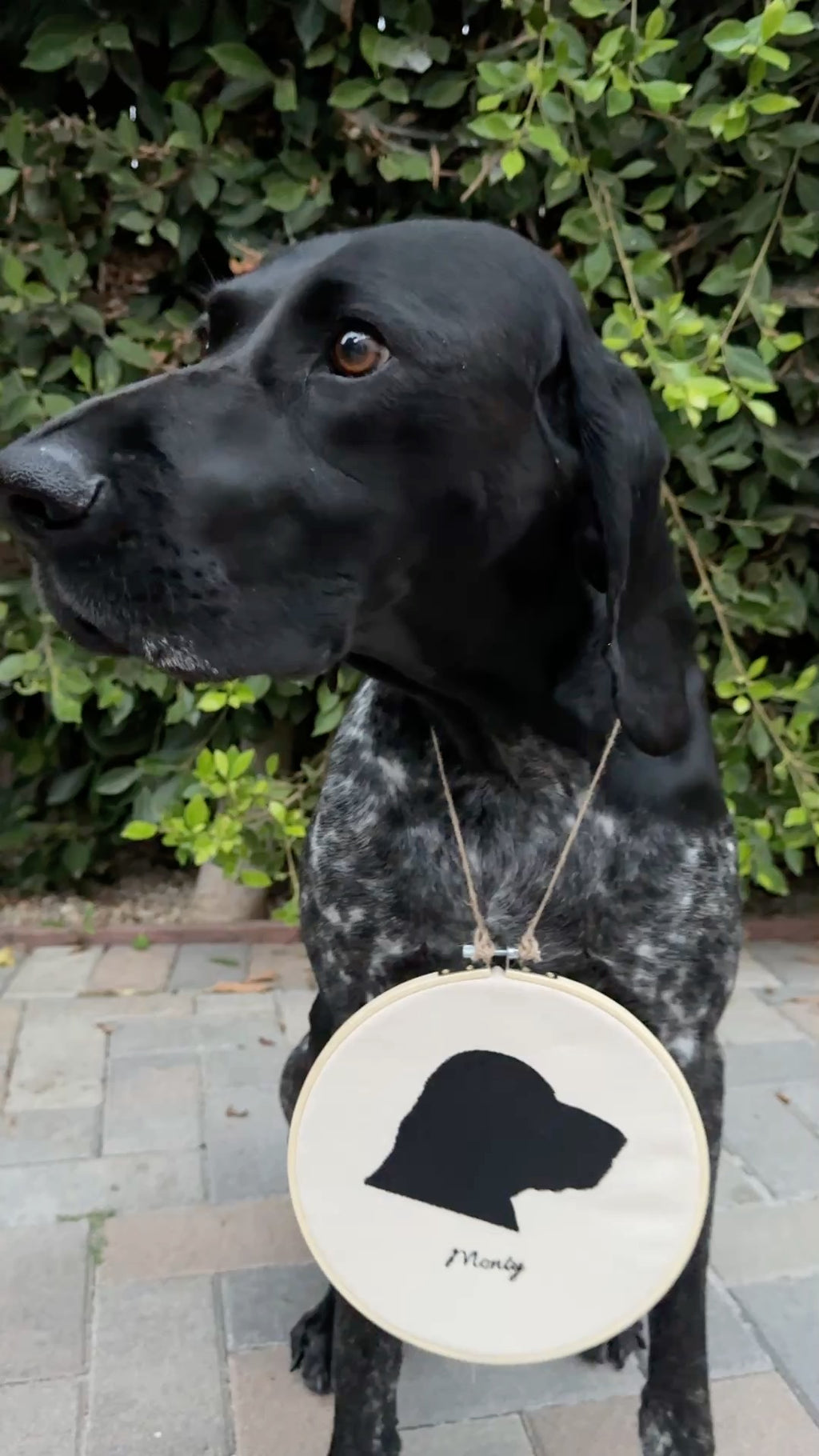 Embroidered Pet Portrait